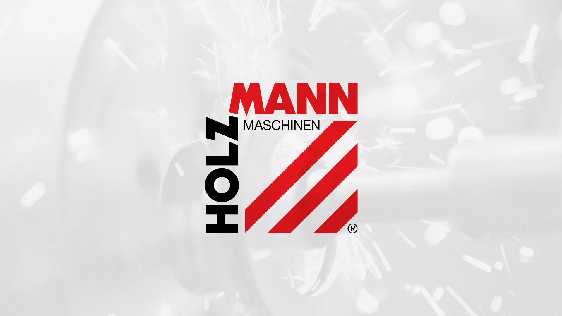 Создание сайта компании «HOLZMANN Maschinen GmbH» в Бологом